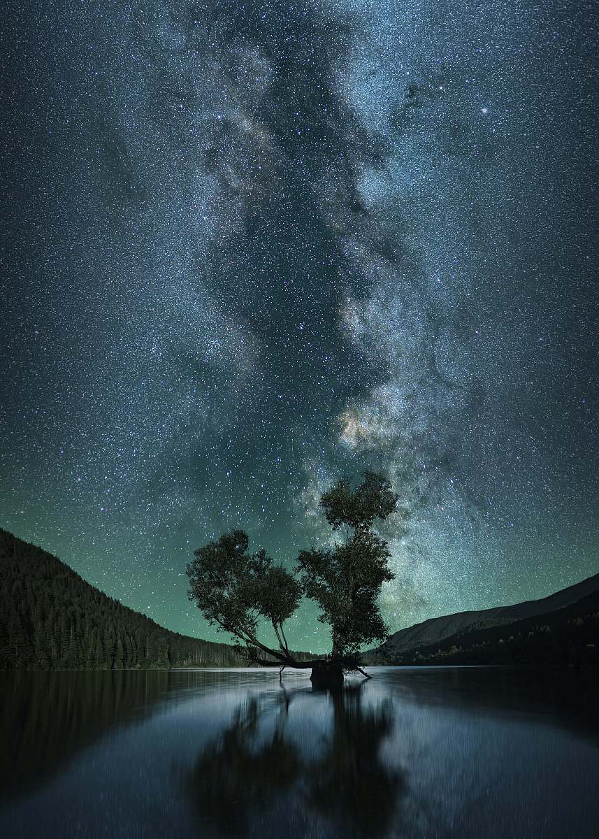 sky green leafed tree on body of water under starry sky wallpaper