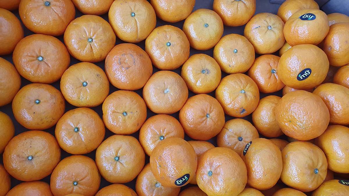 fruit orange fruits on white ceramic plate citrus fruit