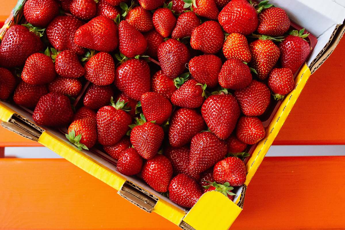 fruit red strawberries on yellow plastic container plant