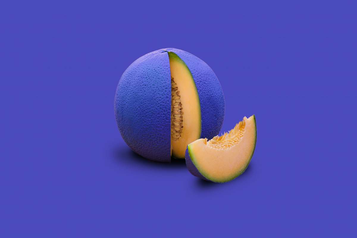 fruit two green and yellow round fruits melon