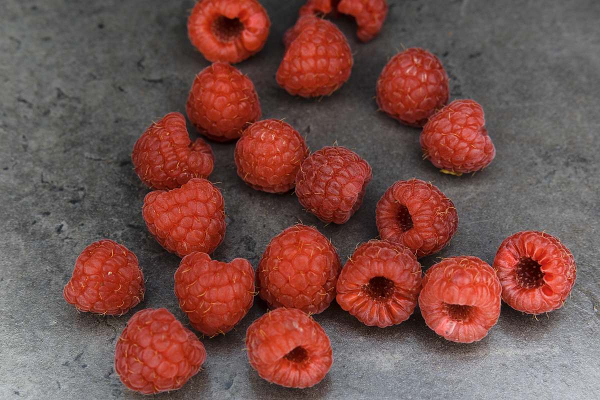 raspberry red round fruits on gray surface food