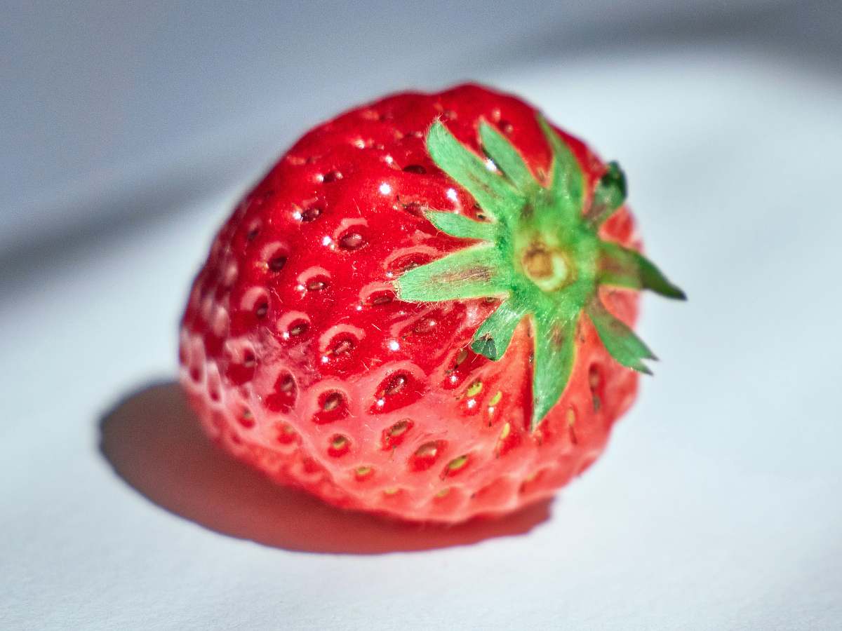 food red strawberry on white textile plant