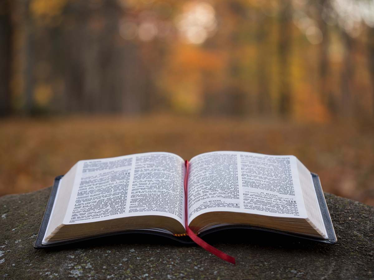 bible page on gray concrete surface 