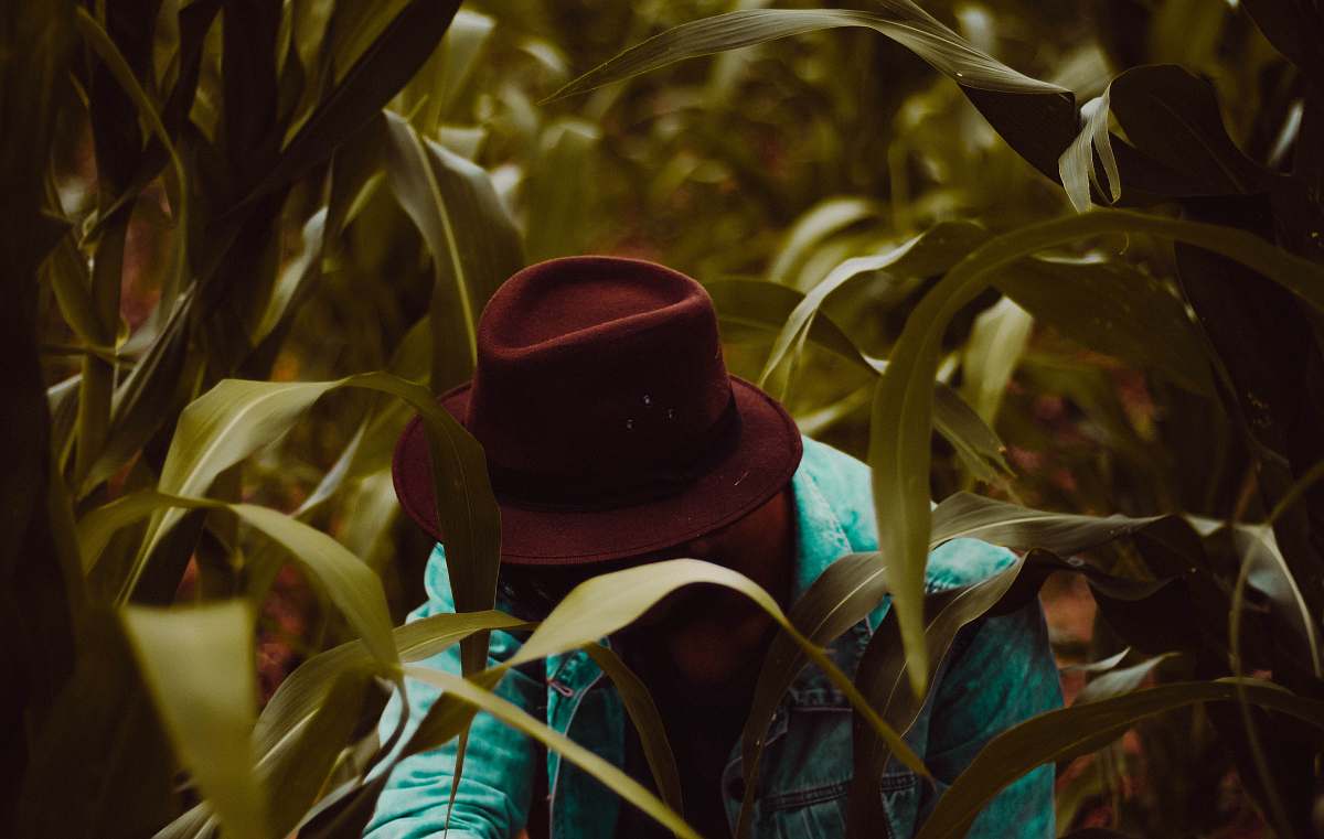 apparel man wearing fedora hat in corn field style