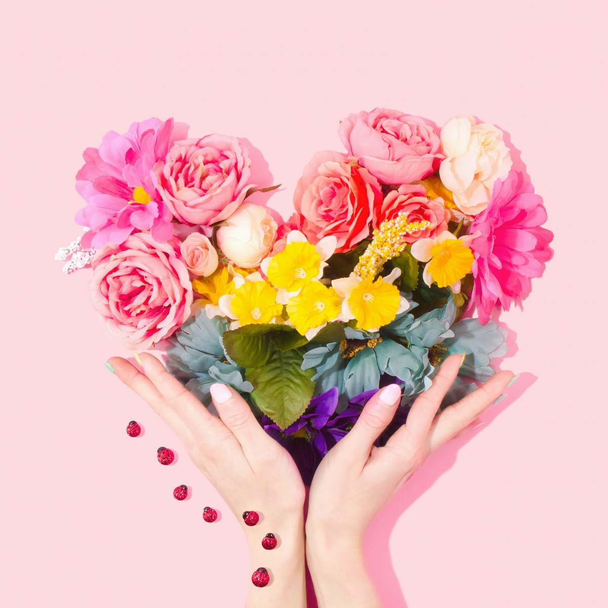 pink person holding bouquet of flower blossom