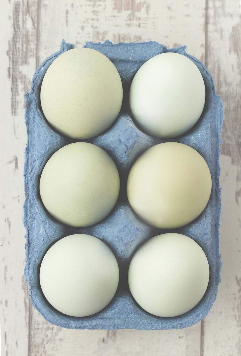 egg six white eggs placed on gray tray eggs