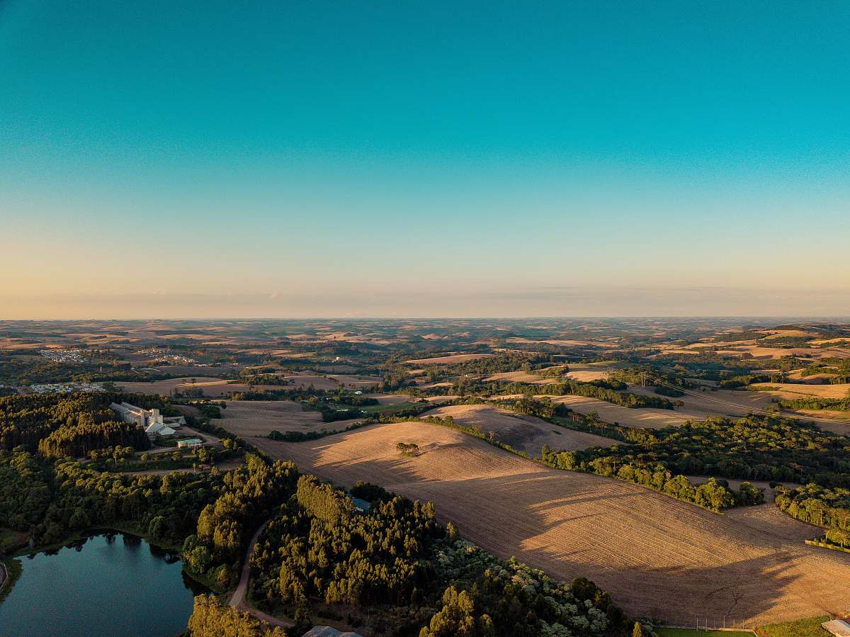 landscape aerial view of trees and hills near lake outdoors