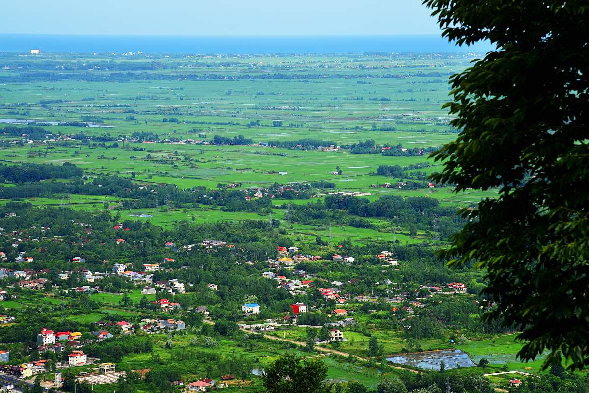 landscape green grass field outdoors