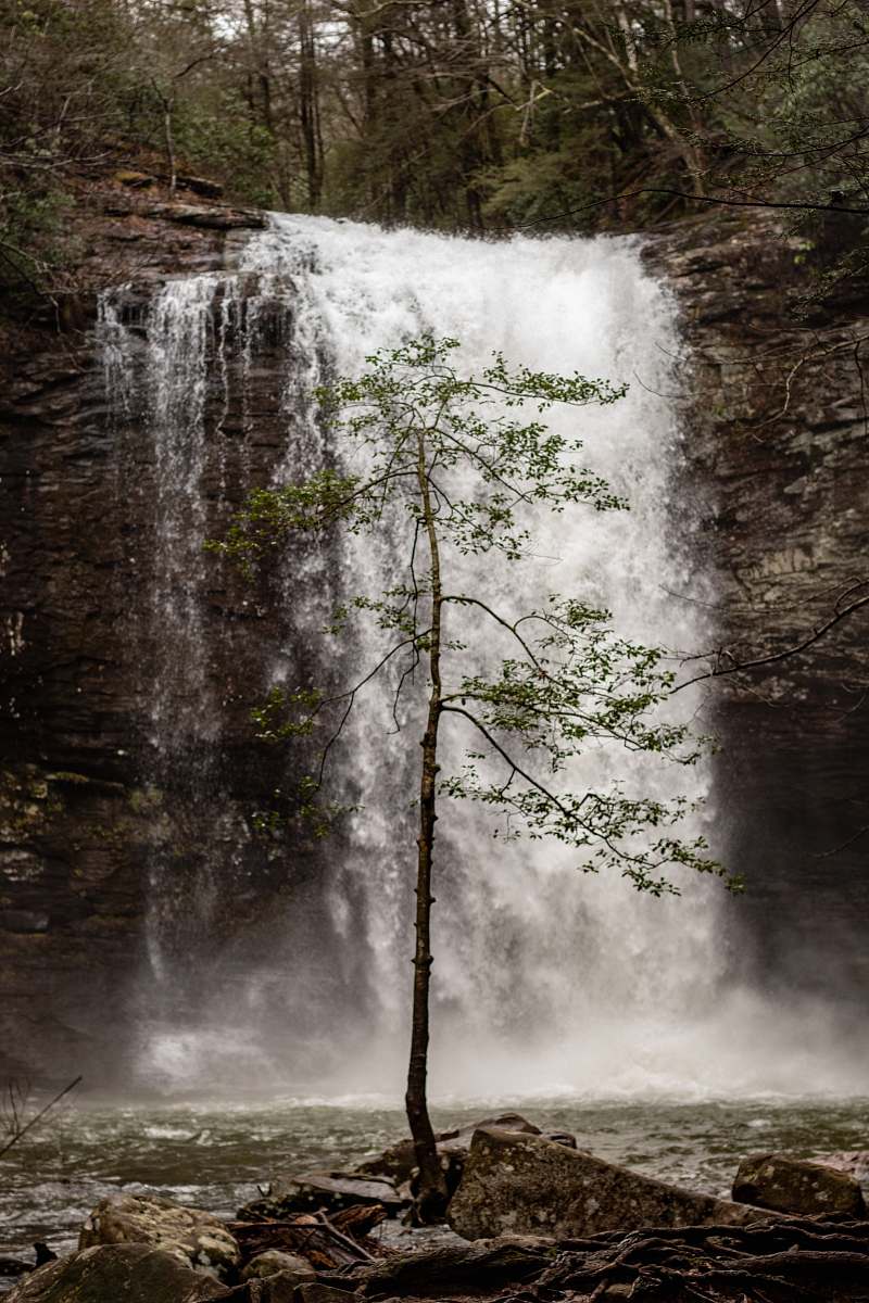 outdoors waterfalls surrounded by trees at daytime water