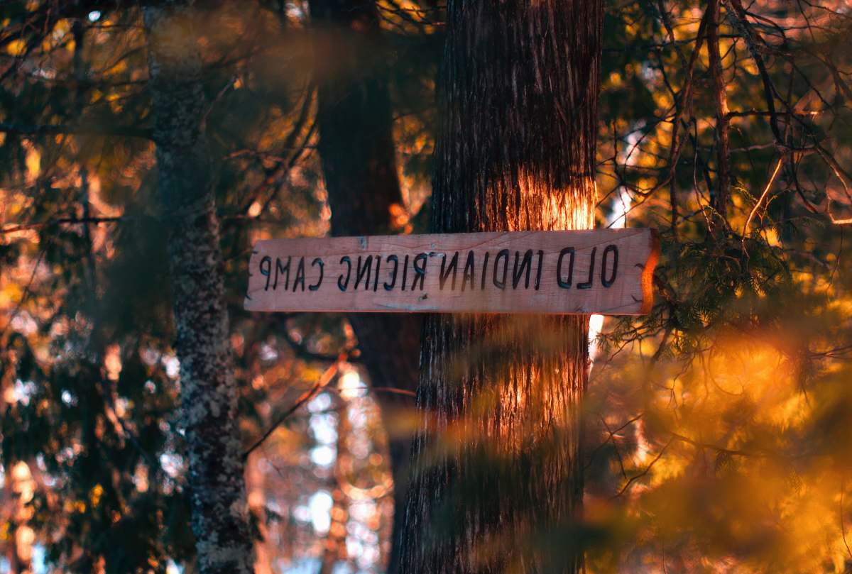 forest Old Indian Ricing Camp signage on gray tree trunk camp