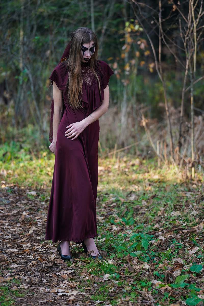 clothing women's maroon short-sleeved dress evening dress