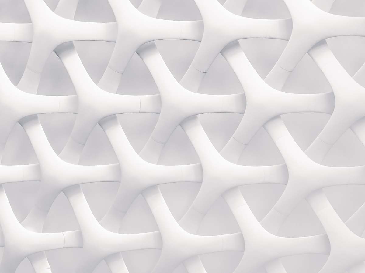 grey white and gray optical illusion white