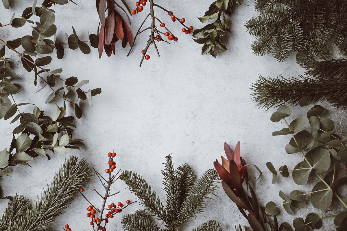 holiday assorted-type of leaves lying on white panel plant