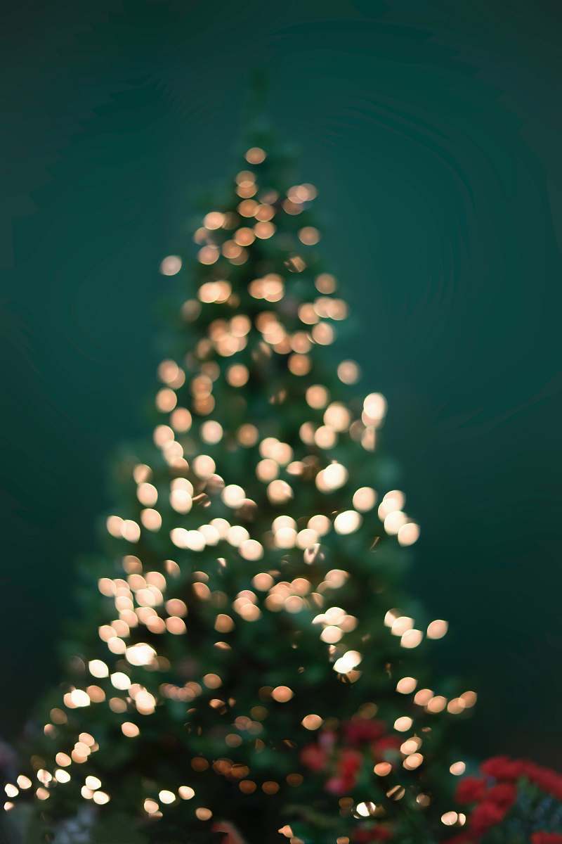 holiday boke photography of christmas tree and string lights fractal