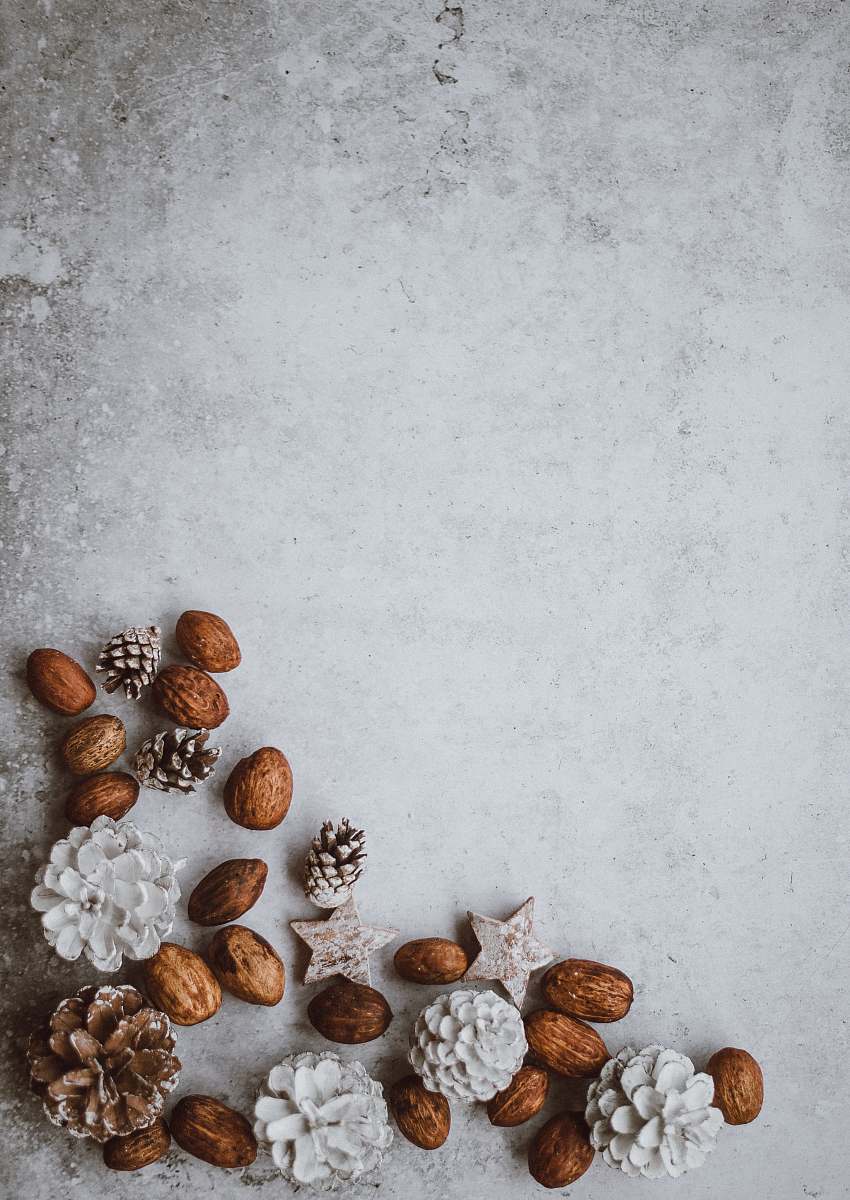holiday brown nuts and pinecone lot grey