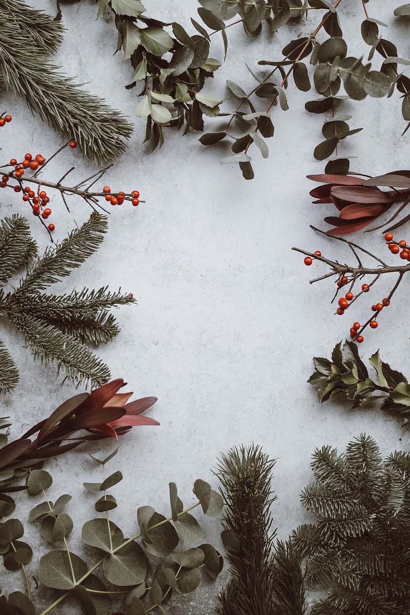 holiday green leafed plants grey