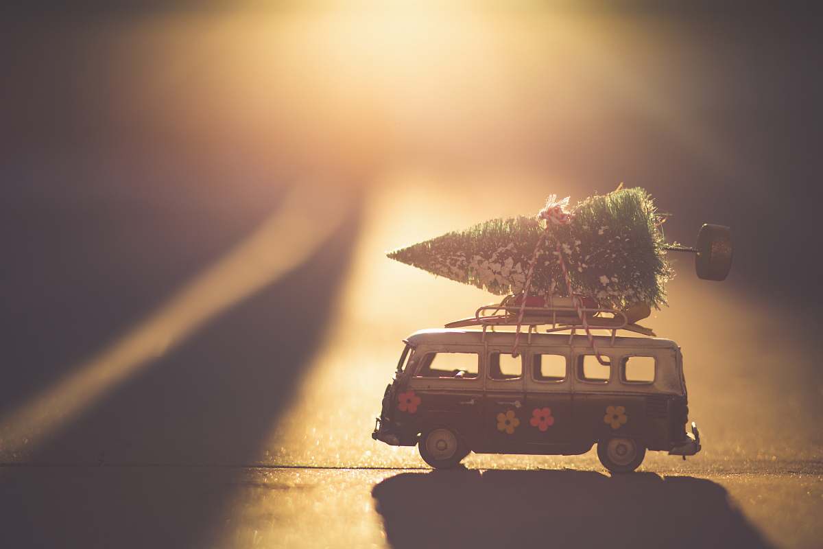 van white and black bus with green pine tree scale model caravan