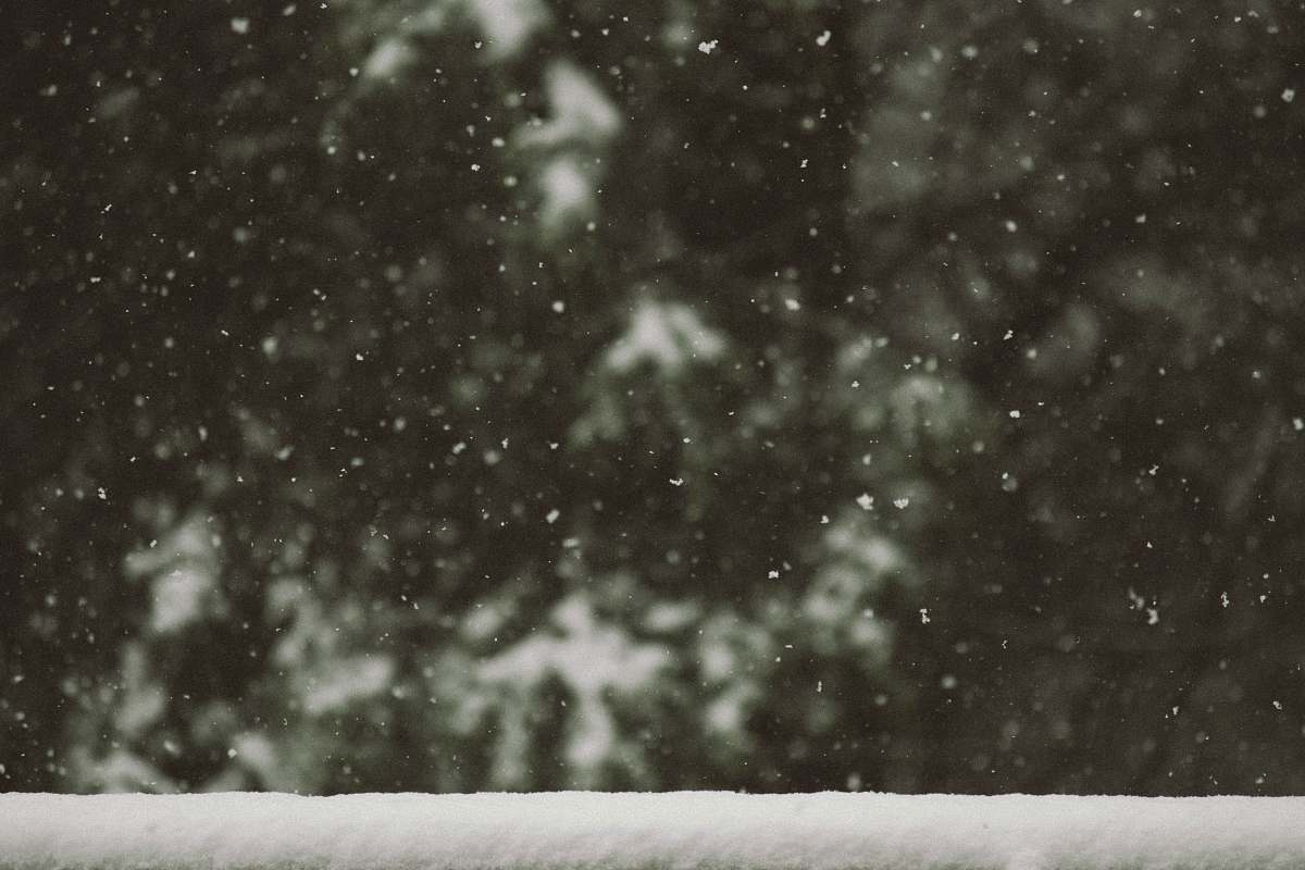 winter white snow flakes snow