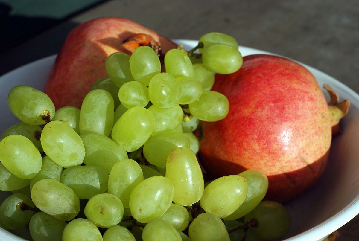 plant green fruits apple