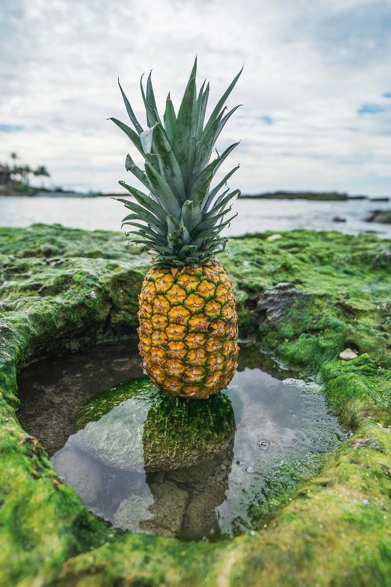 fruit yellow and green pineapple on green rock surrounded by water during daytime pineapple