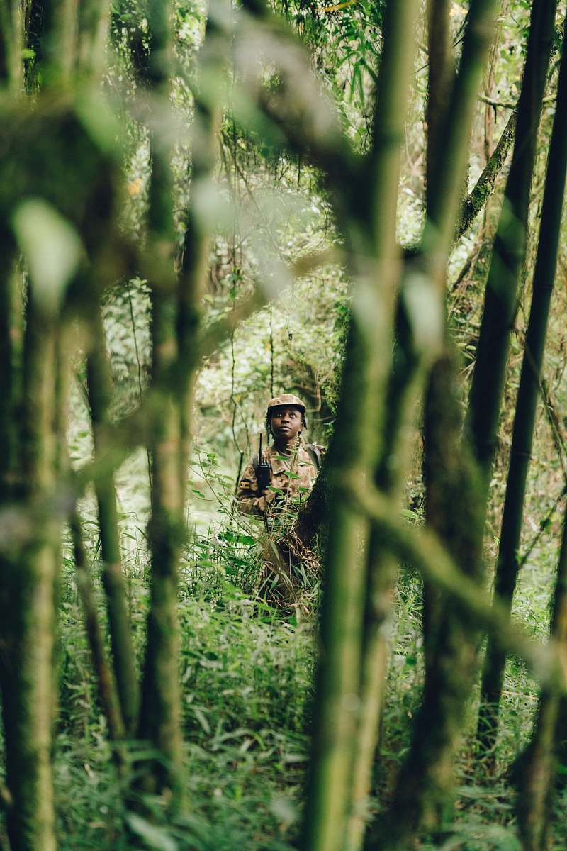 military girl standing surrounded with green trees military uniform