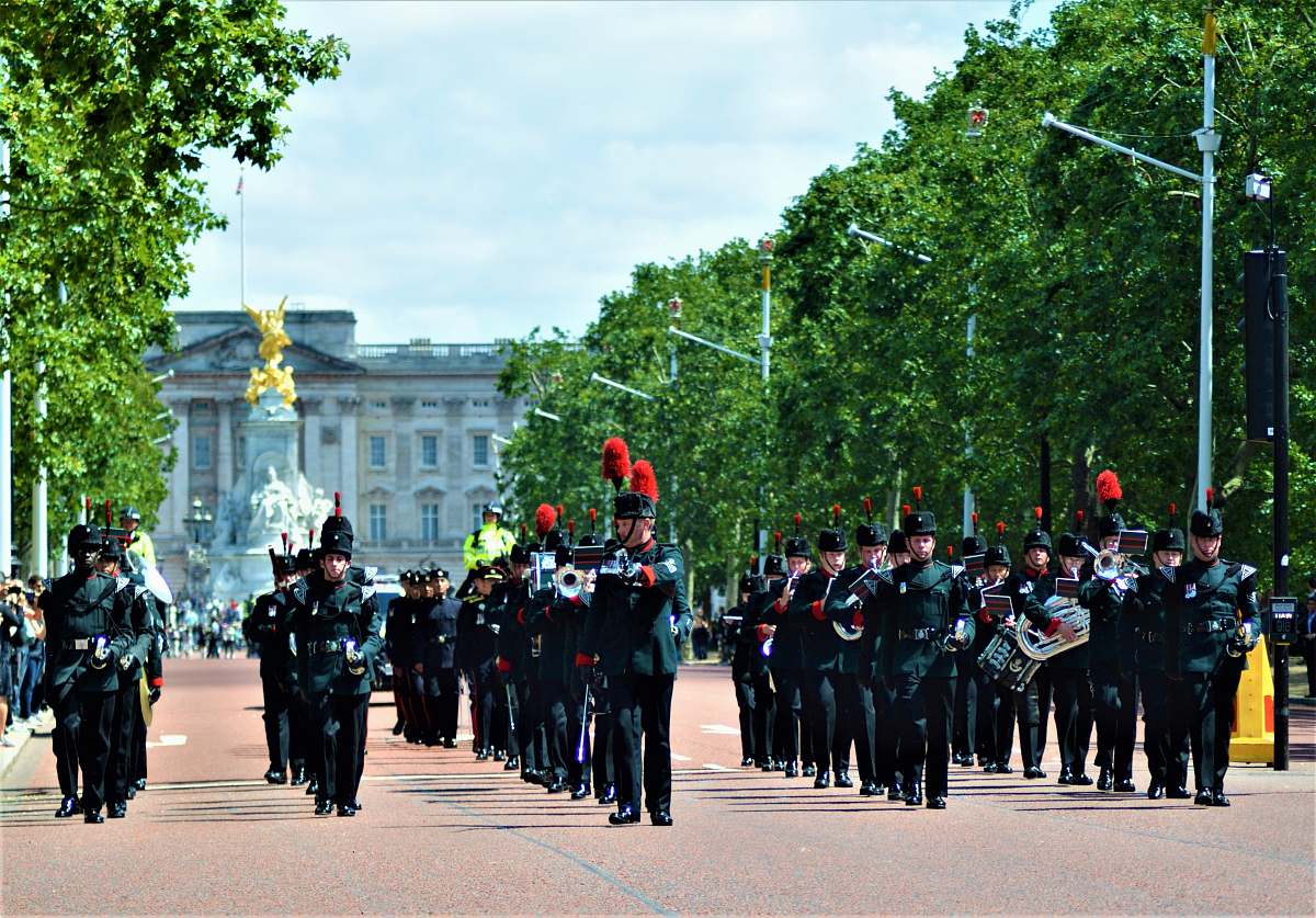 crowd people parading on road beside Buckingham palace near trees marching