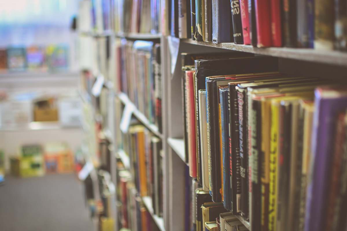 book books organized in a shelf book store
