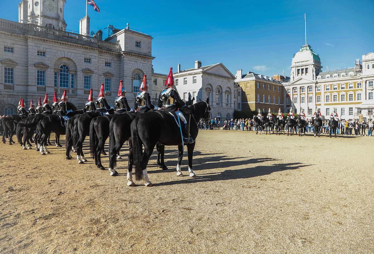 animal rows of soldiers on black horses horse