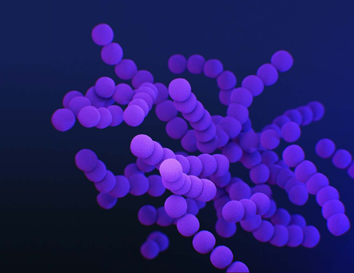 Purple Bacteria Image Free Photo