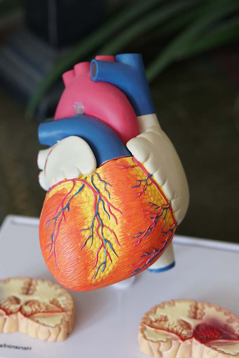 produce orange heart decor vegetable