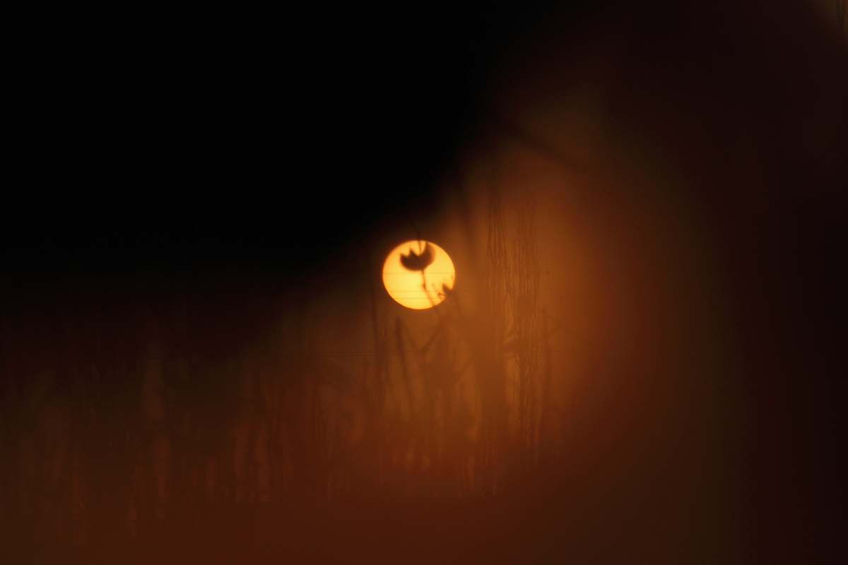 outdoors  astronomy