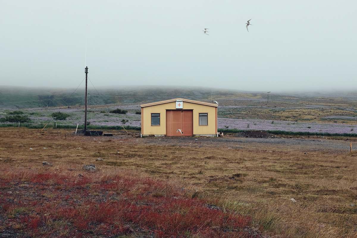 outdoors brown barn at daytime building