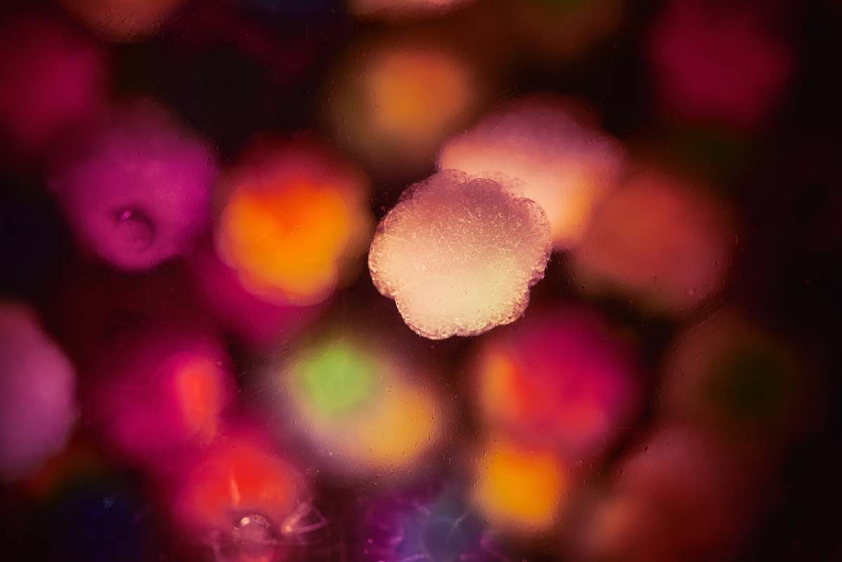 ice pink and orange graphic outdoors