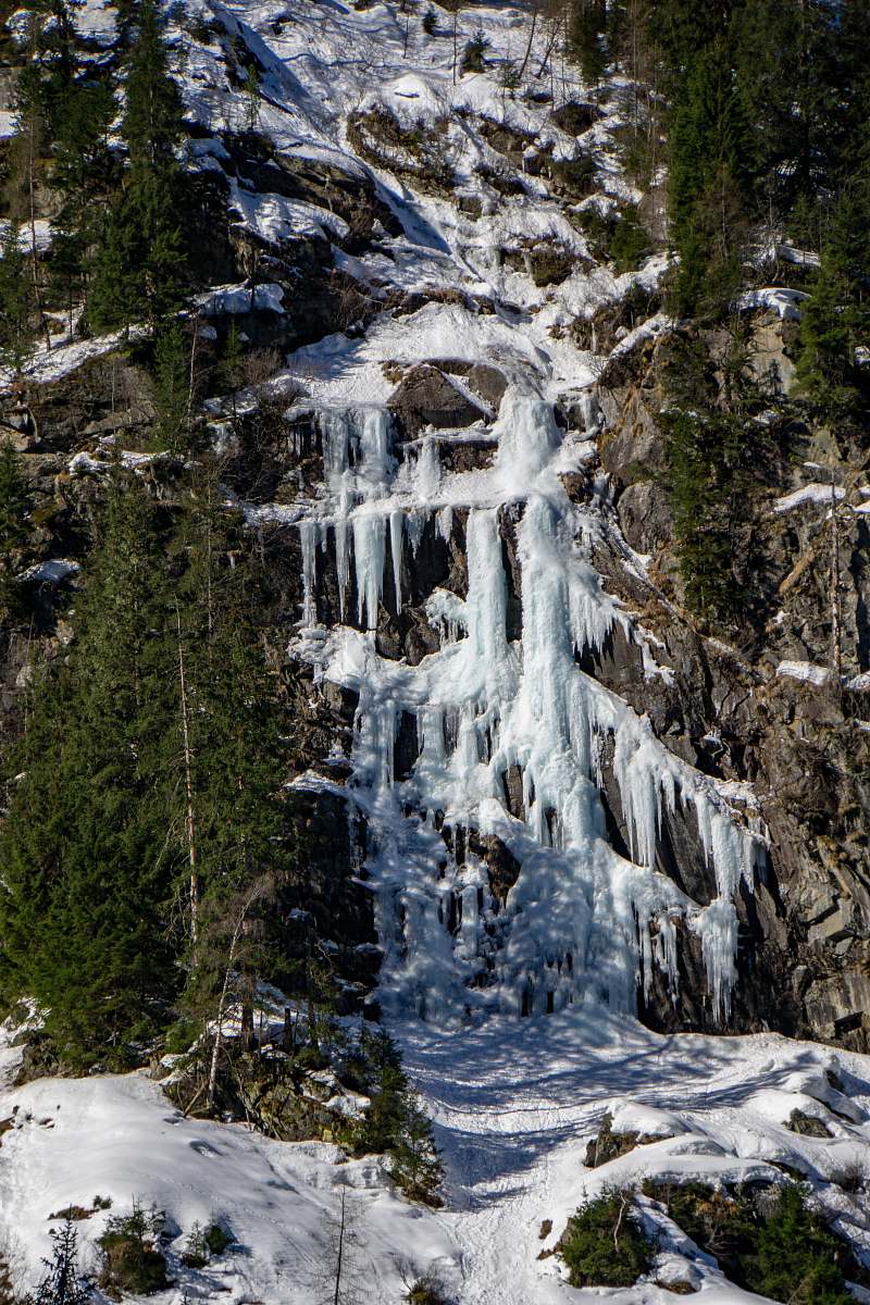 outdoors trees covered by snow water