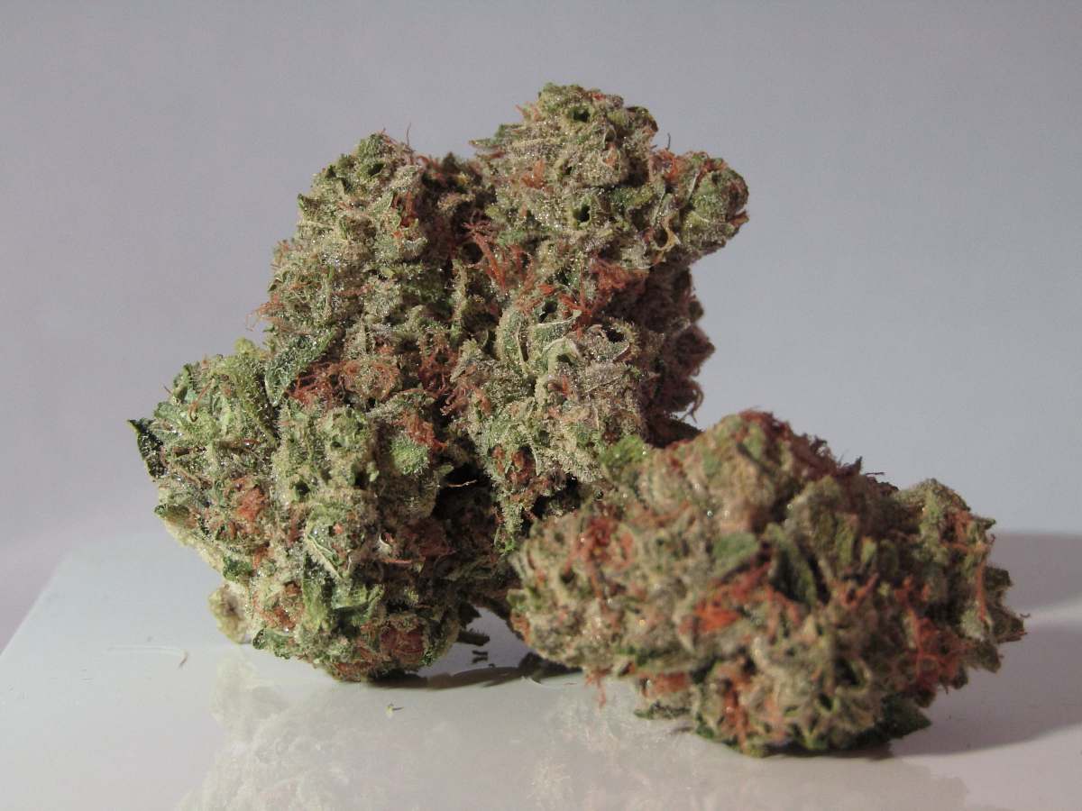 weed green and brown kush cannabis