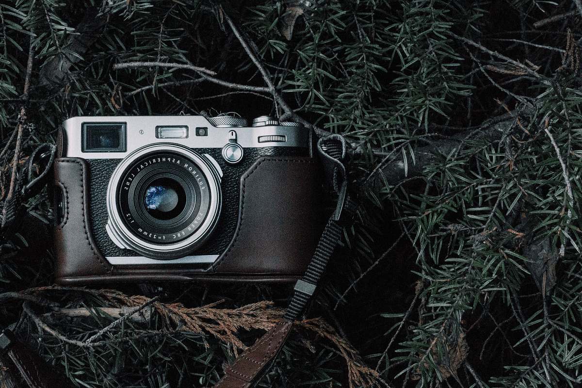 electronics black and gray film camera with black case on green pine tree leaves grey
