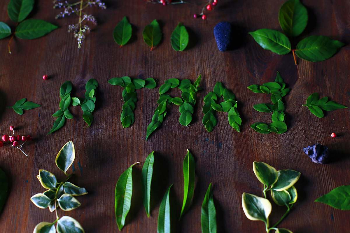 leaf leaves on table words