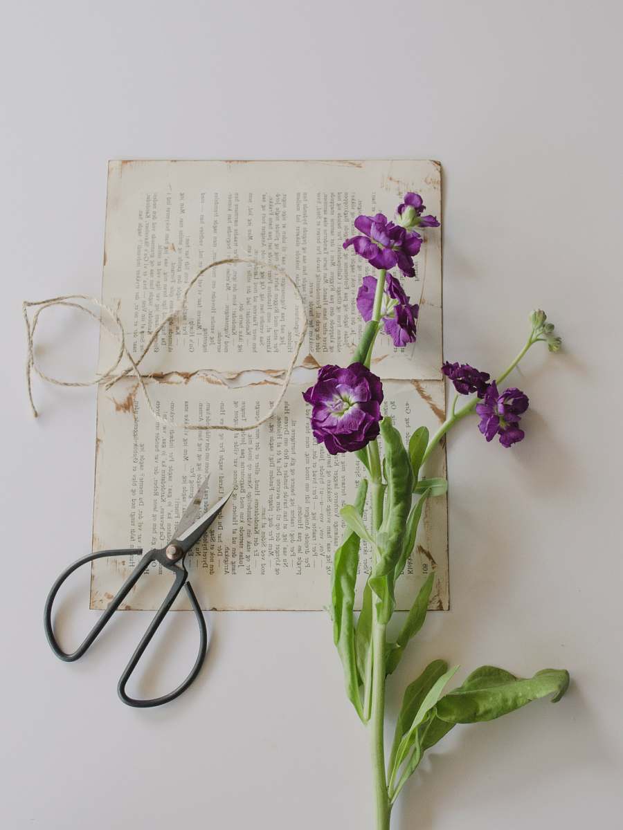 ephemera purple petaled flowers on printing paper beside shears purple