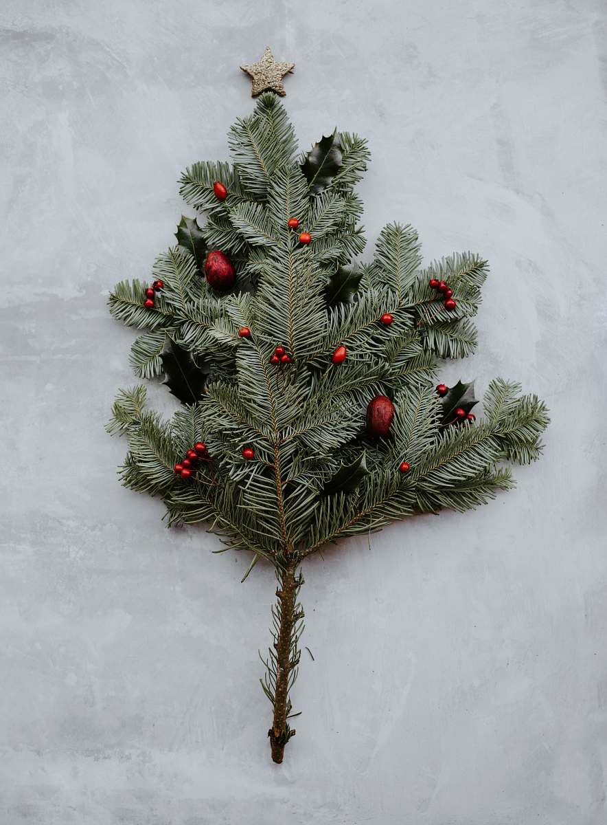 tree green pine leaves on gray surface ornament