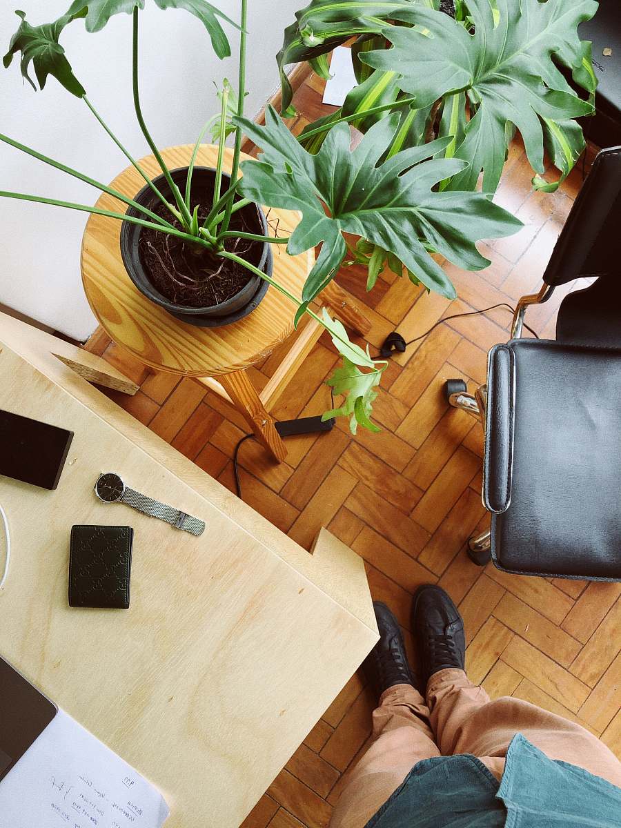 flora person taking a photo of plant jar