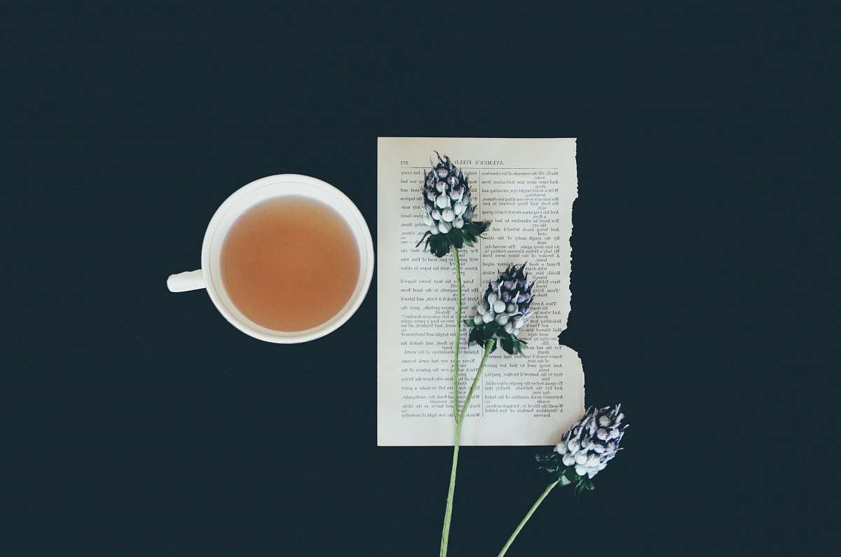 cup white ceramic tea cup beside white flowers beverage