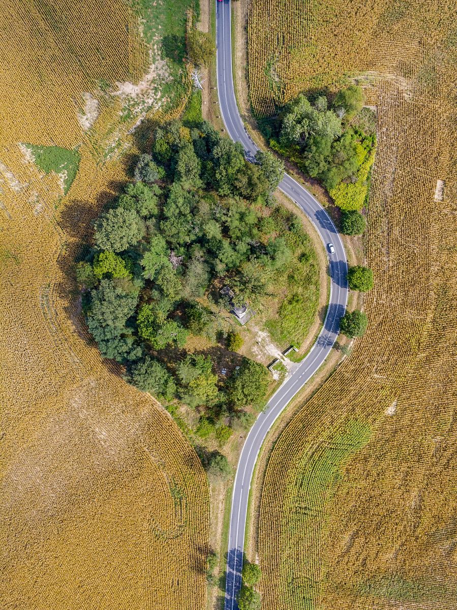 aerial photo of forest near roadway