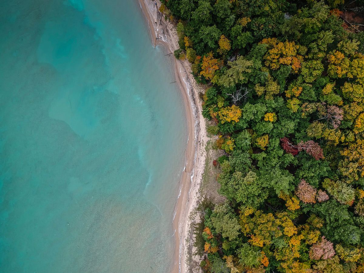 aerial photography of beach
