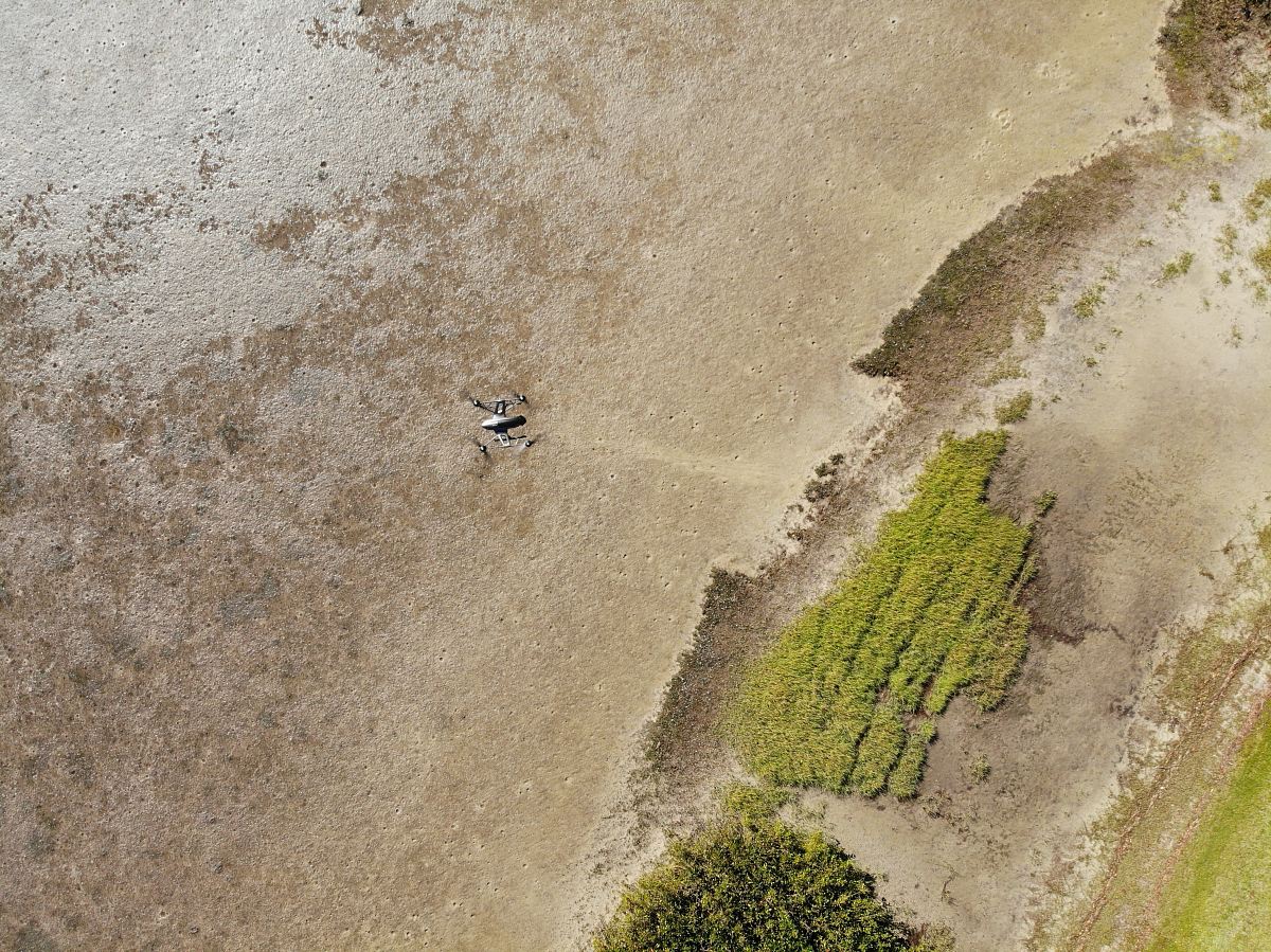 aerial photography of land during daytime