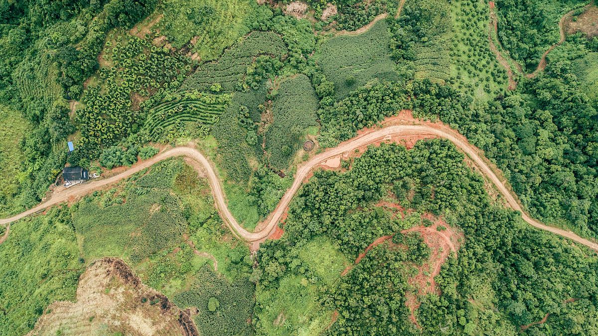 aerial photography of road