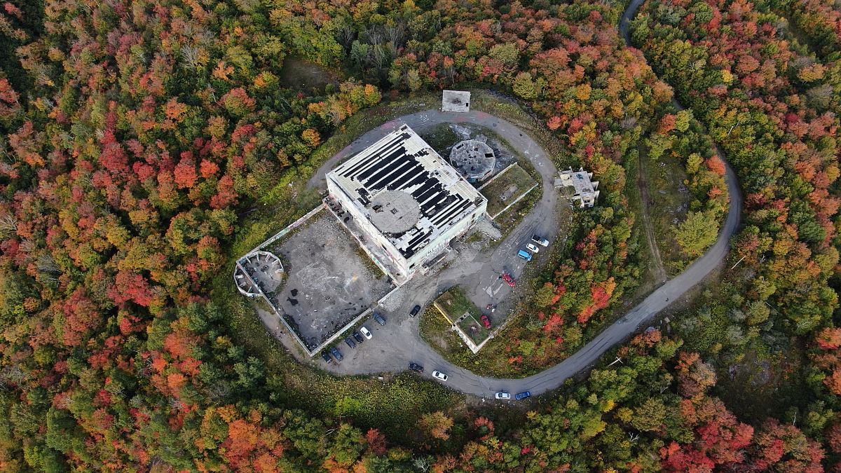 aerial photography of white concrete building surrounded by trees
