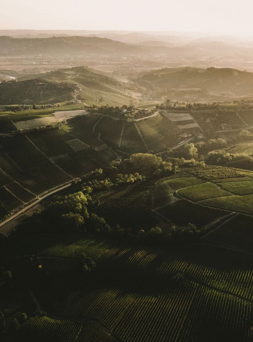 aerial view of grass field