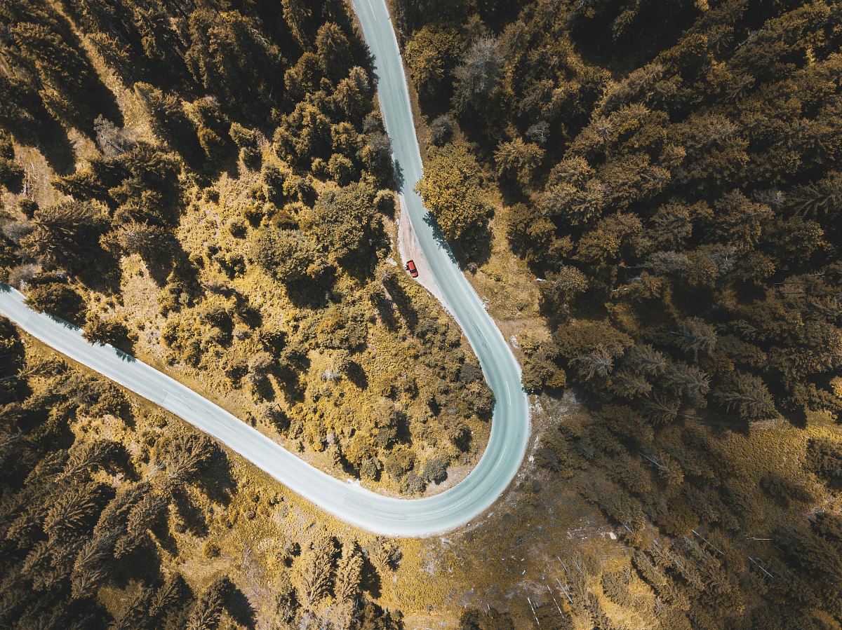 aerial view of road between forest