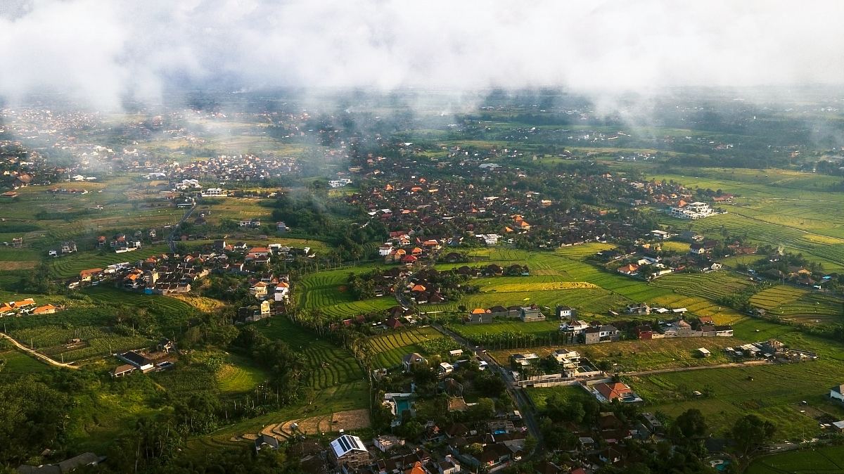 aerial view of trees and houses
