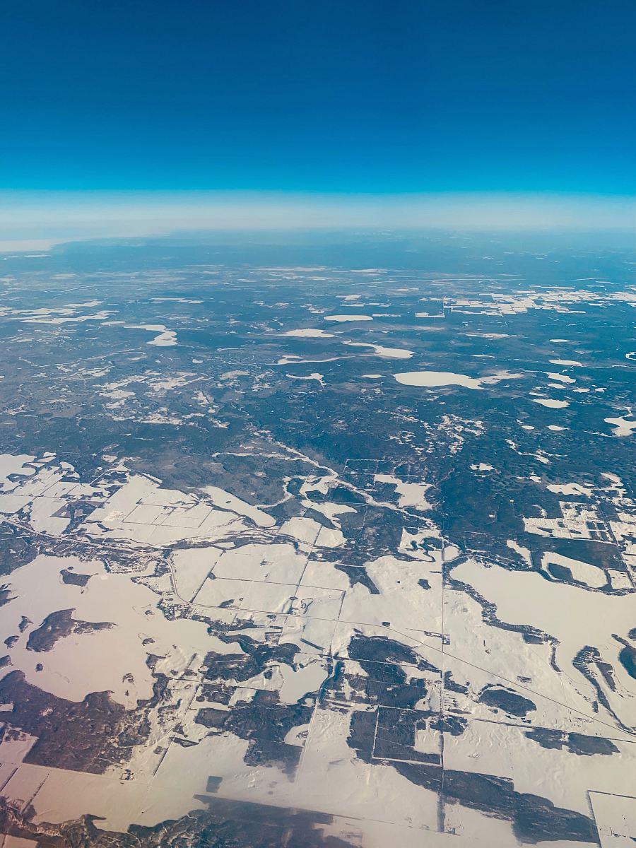 aerial view of trees
